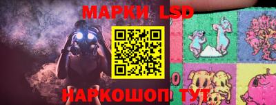 apvp Обнинск