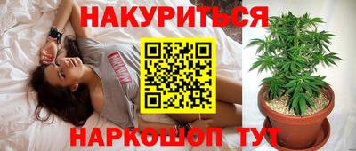 кокс Обь