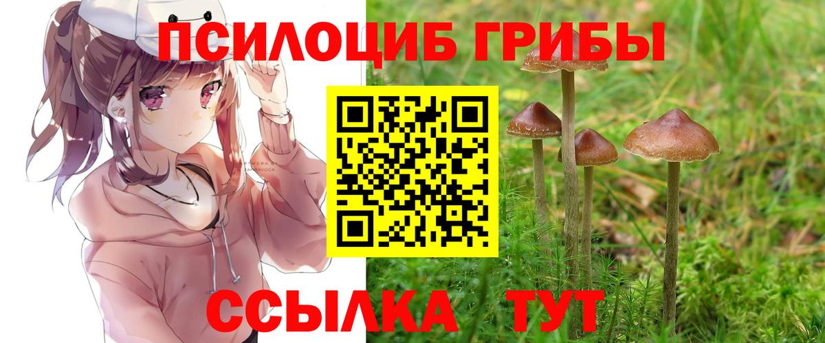 Псилоцибиновые грибы Cubensis Самара
